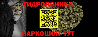 МДПВ Новозыбков