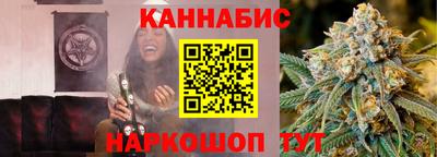 МДПВ Новозыбков