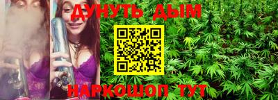 МДПВ Новозыбков
