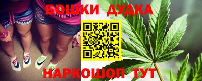 МДПВ Новозыбков