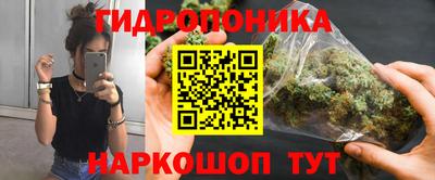прущие грибы Новокубанск