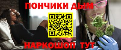 МДПВ Новозыбков