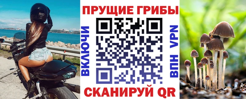 Псилоцибиновые грибы мухоморы Югорск