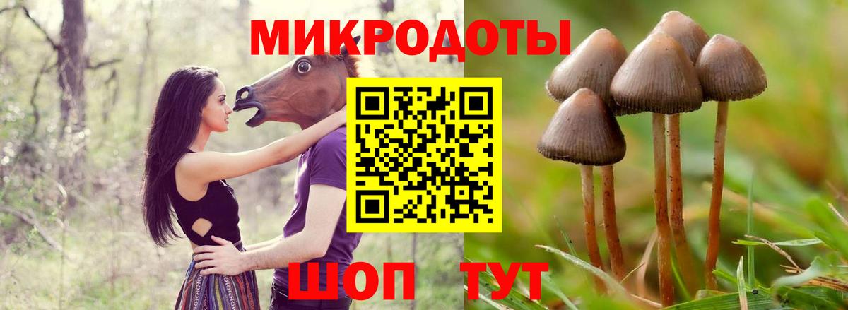 Югорск  Галлюциногенные грибы Psilocybe  Галлюциногенные грибы прущие грибы  Вход с VPN 