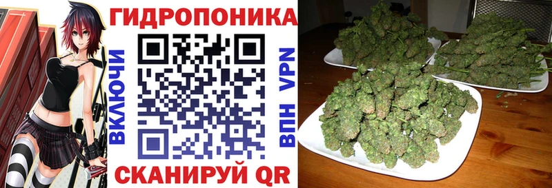 Бошки марихуана планчик  цены наркотик  Югорск 